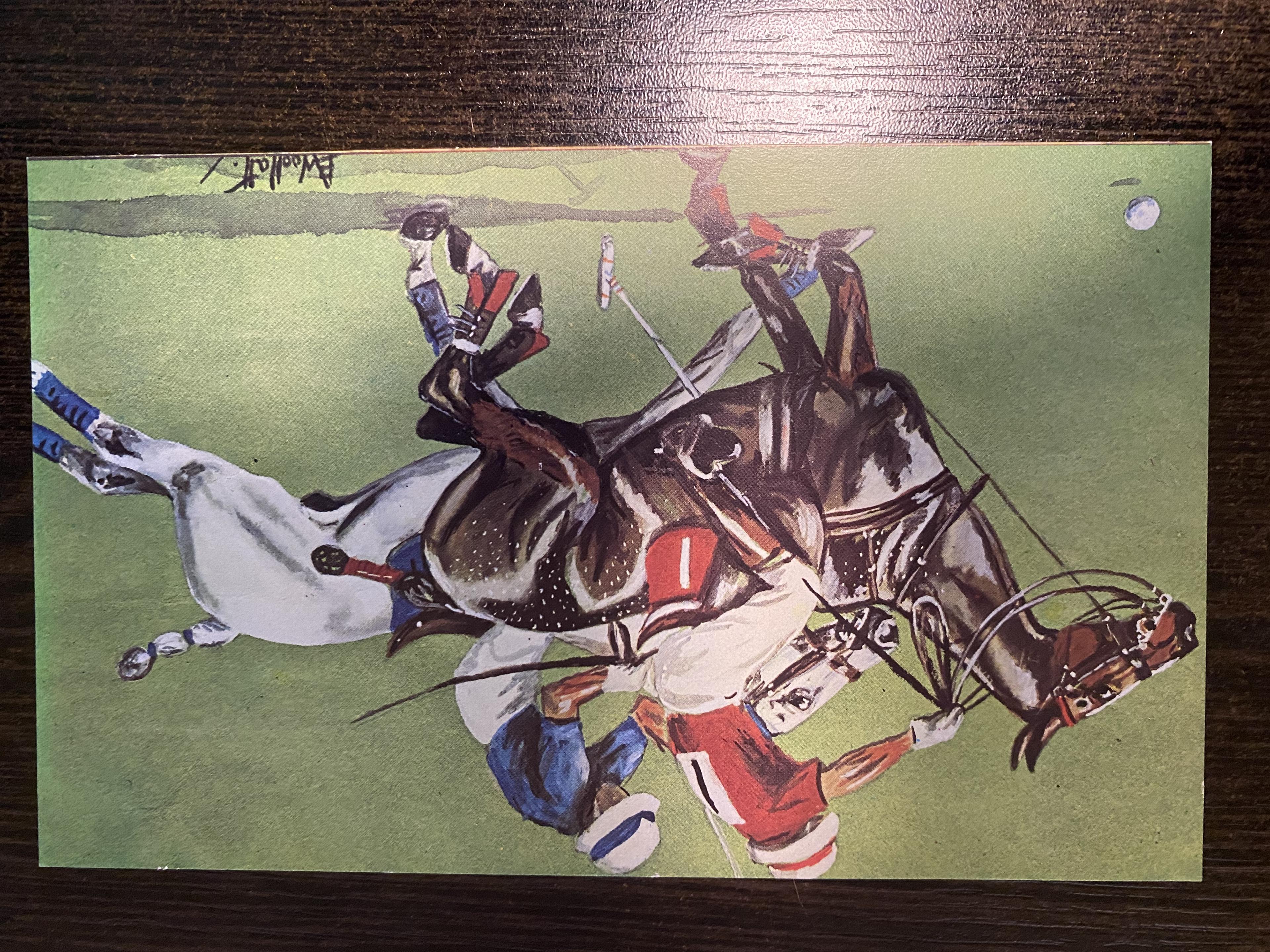 Polo